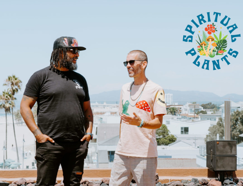 Enter the Garden: Inside Spiritual Plants’ Routine-Friendly Path to Plant Medicine