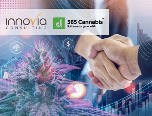 Innovia Consulting Acquires 365 Cannabis