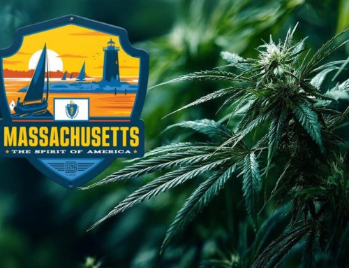 Massachusetts Tops $9 Billion in Cannabis Sales, Eyes Cultivation License Freeze