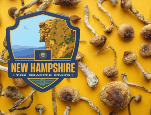 New Hampshire House Advances Bill to Regulate Medical Psilocybin Use