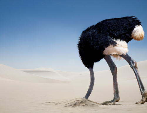 As November Looms, the Intoxicating Hemp Industry Carries On — Calmly, Confidently, and Perhaps Optimistically