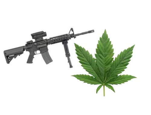 DOJ Urges SCOTUS to Ban Cannabis Consumers from Owning Guns