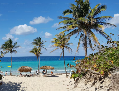 Virgin Islands Sets Fall 2026 Target for Legal Cannabis Retail Launch