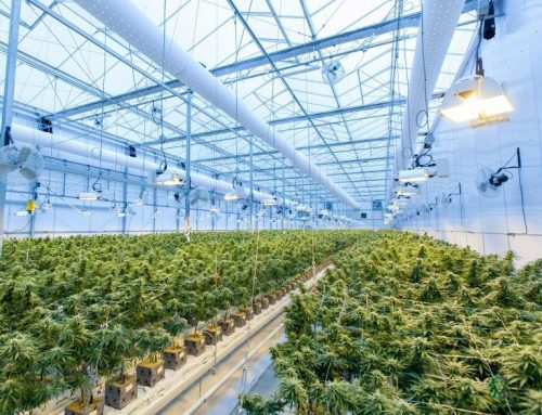 Innovative Industrial Properties Reports Q4 FY2025 Financial Results