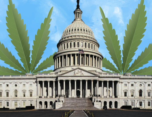 Bipartisan Bill to Delay Hemp Ban Gains 36 Congressional Sponsors