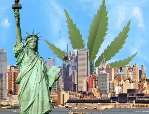 New York Celebrates the Five-Year Anniversary of Cannabis Legalization