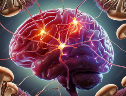 Hawaii Moves Forward on Psychedelic Therapy Research Framework