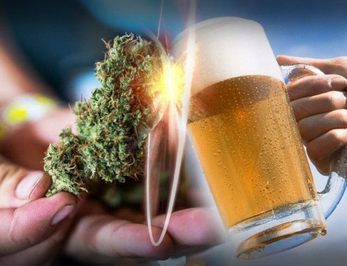 Alcohol Sales Slide as Cannabis Brings in $2.5B for Canada