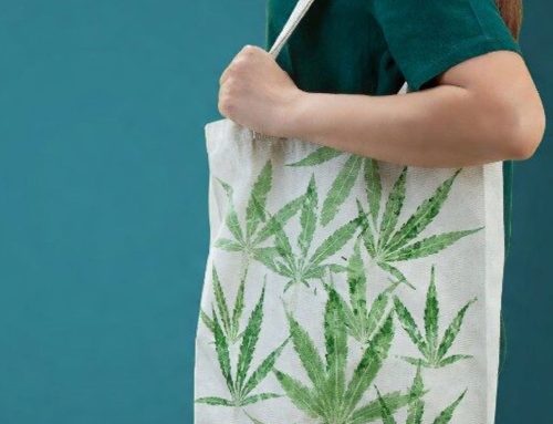 Massachusetts Rec Cannabis Sales Exceed $9B Cumulative Total