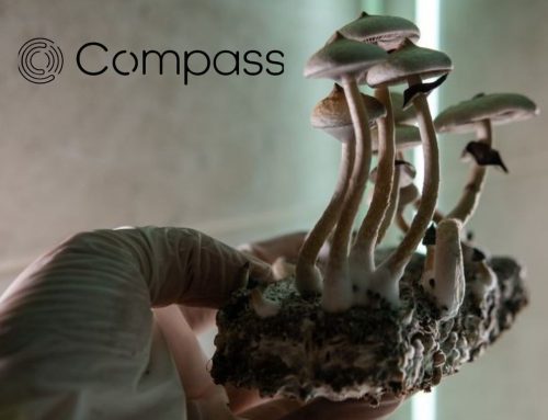 Compass Pathways Opens U.S. Grant Program for Psychedelic Therapy Training