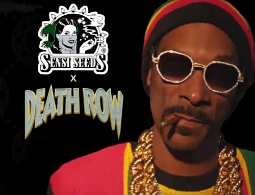 Sensi Seeds and Death Row Records Partner to Release Exclusive Strains in U.S.