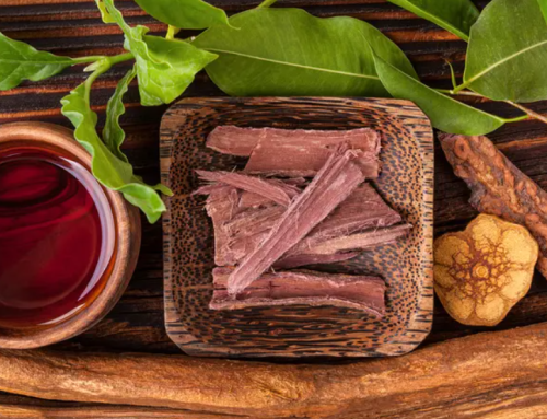 9th Circuit Orders U.S. Government to Pay Over $2M to Ayahuasca Church