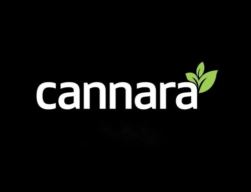 Cannara Biotech Reports Q2 2026 Financial Results