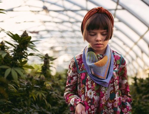 Charlotte Figi Day: The Enduring Legacy of a Girl Who Sparked a Revolution in Cannabis