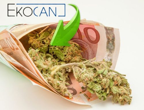 German Pharmacies Offer Cannabis Cheaper Than Darknet