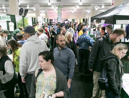 Why NECANN Boston Is Becoming a Strategic Growth Engine for Cannabis Brands