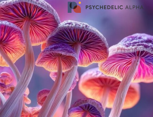 Oregon Completes First Full Year of Psilocybin Services Data Collection
