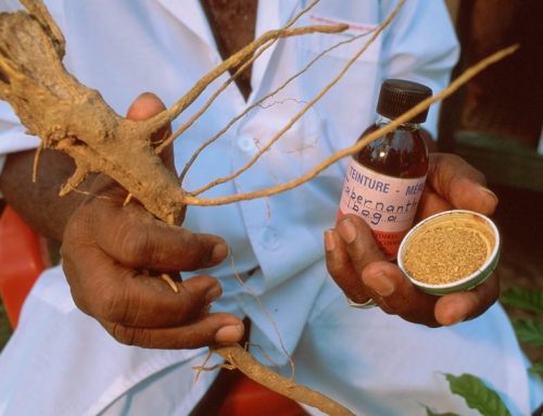 BREAKING: Colorado Passes Landmark Ibogaine Research Bill, Expanding the State’s Natural Medicine Framework