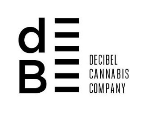Decibel Reports Q1 2026 Financial Results