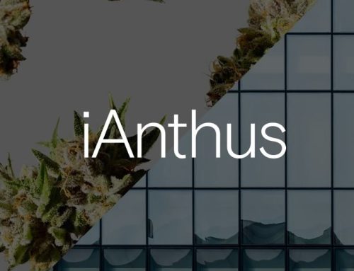iAnthus Reports Q1 2026 Financial Results