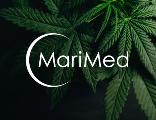 MariMed Reports Q1 2026 Financial Results