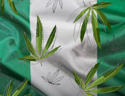 Nigeria Explores Regulated Cannabis for Medical and Economic Purposes