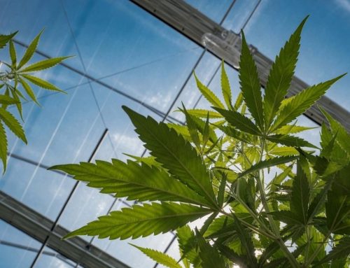 Vireo Growth Completes Purchase of Leased NY Cannabis Facility