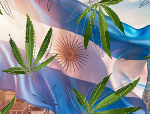 Argentina Lawmakers Float Full Cannabis Legalization Plan