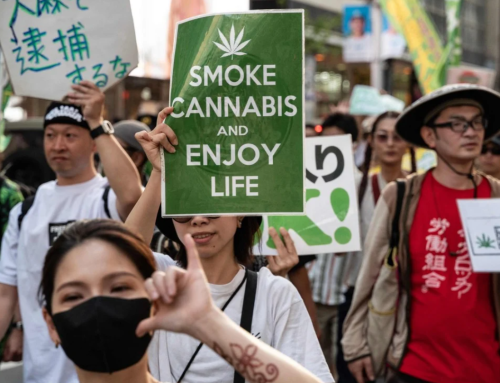 Young Japanese Are Turning to Cannabis at Record Rates