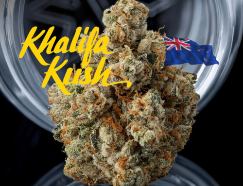 Khalifa Kush Enters Australia Through Endoca Distribution Deal