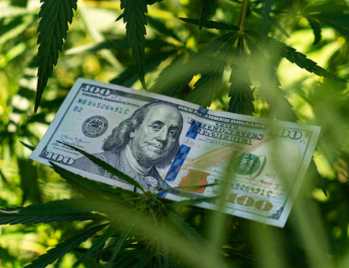 Bipartisan Cannabis Banking Bill (SAFE) Returns to Congress Ahead of DEA Hearing