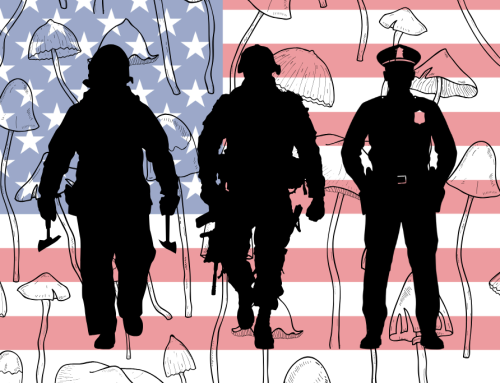 North Carolina Lawmakers Unite Behind Psychedelic Research Bill for Veterans