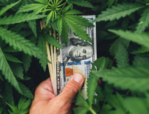 FundCanna: Institutional Money (Finally) Finds Cannabis
