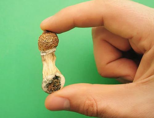 Psilocybin Shows Promise in Treating Cocaine Addiction