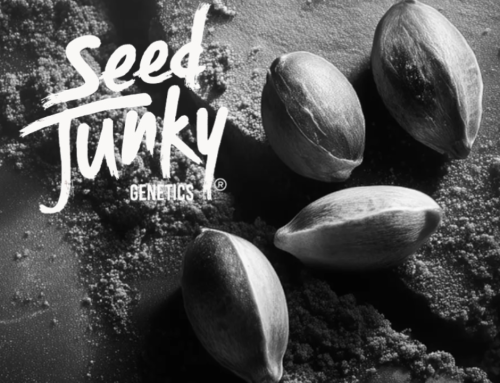 Seed Junky Genetics Enters European Medical Cannabis Markets