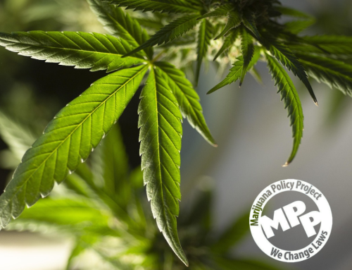 Legal Cannabis Generates Billions, Reaches New Highs Across Key States