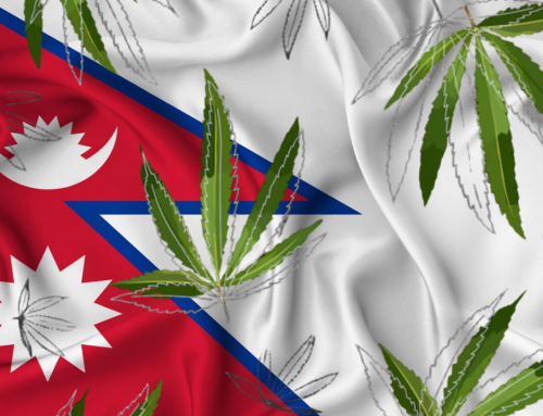 Nepal’s Gandaki Province Breaks Ground on Regulated Cannabis Cultivation