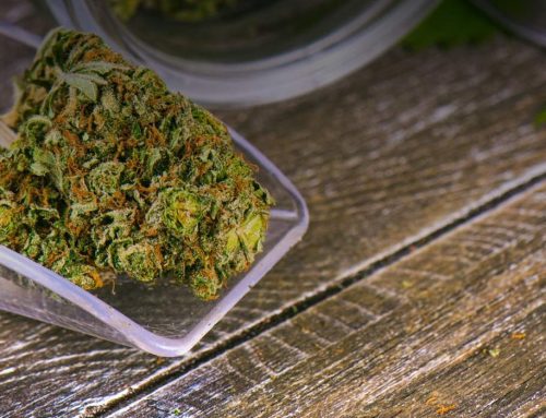 Cannabis Retailers Face Engagement Gap in Loyalty Programs