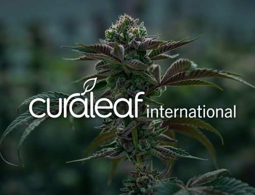 Curaleaf Opens Free CPD Training Portal for UK Medical Cannabis Prescribers