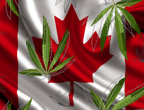 Canada Is Now the World’s Largest Cannabis Market