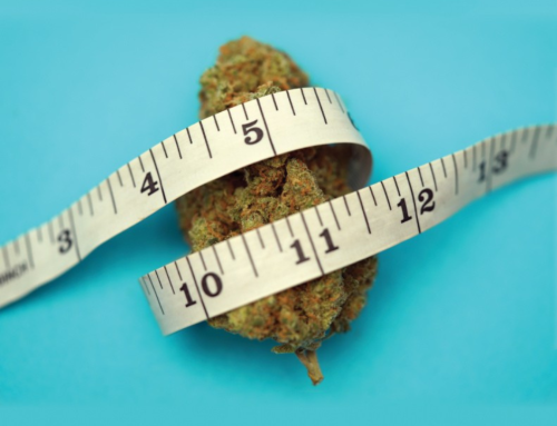 Michigan Lawmakers Push to Repeal 24% Cannabis Tax
