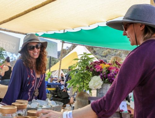 NY Cannabis Market Gains New Outdoor Sales Path