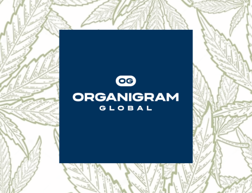 Organigram Pulls Sanity Group Into a Single Global Structure