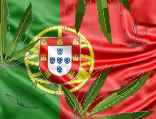 Portugal Medical Cannabis Outpaces 2025 Export Run Rate