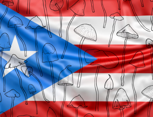 Puerto Rico Governor Orders Psychedelics Research
