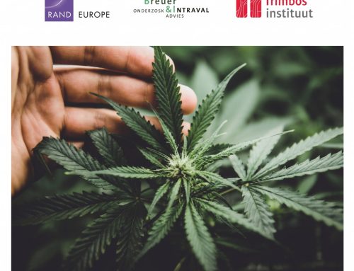 Dutch Cannabis Supply Pilot Delivers Lower Prices and a Fuller Shelf