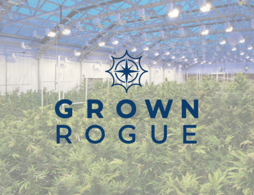 Grown Rogue Launches Cultivation Ops in Minnesota