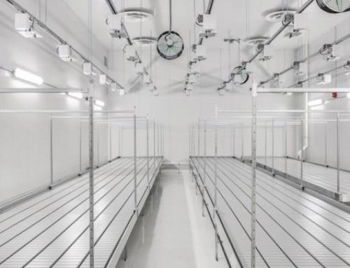 Should You Stay in the Cannabis Industry—or Should You Leave?
