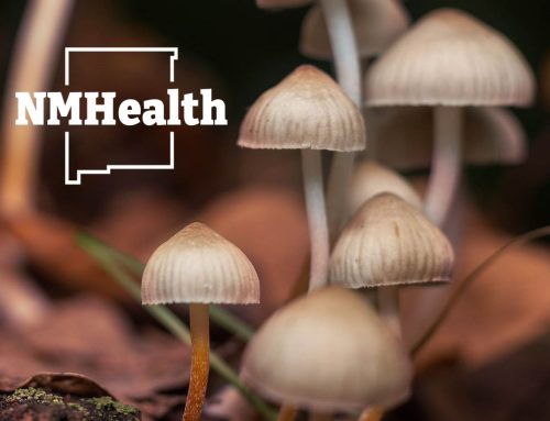 New Mexico Pushes to Open Medical Psilocybin Program