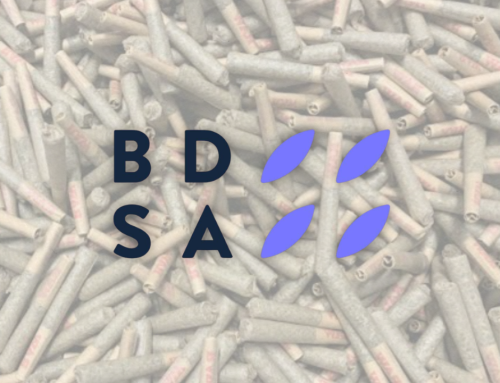 Pre-Rolls and Multipacks Gain Momentum Across the US, BDSA Finds
